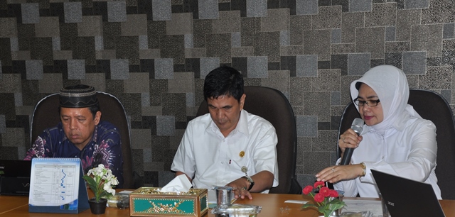 Rapat Koordinasi Proyeksi Pertumbuhan Ekonomi Sumatera Selatan Tahun 2017