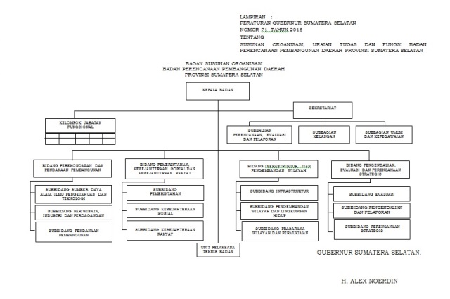 Strutur Organisasi Baru